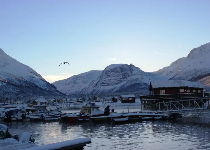 Lodge Manndalen Sjobuer Samuelsberg