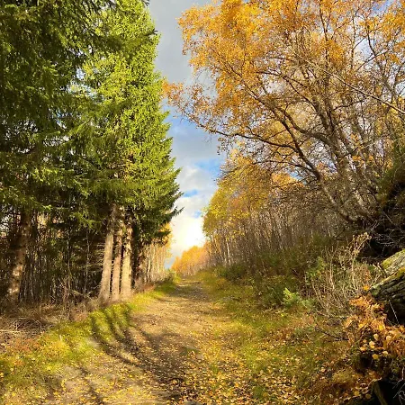 Manndalen Sjobuer Domek letniskowy